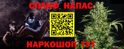 прущие грибы Бугуруслан