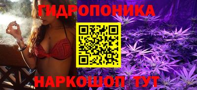 прущие грибы Бугуруслан