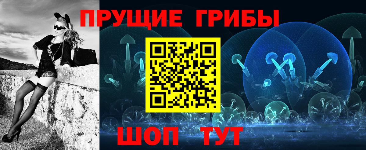 Рассказово  Псилоцибиновые грибы ЛСД  купить закладку  Вход с VPN 